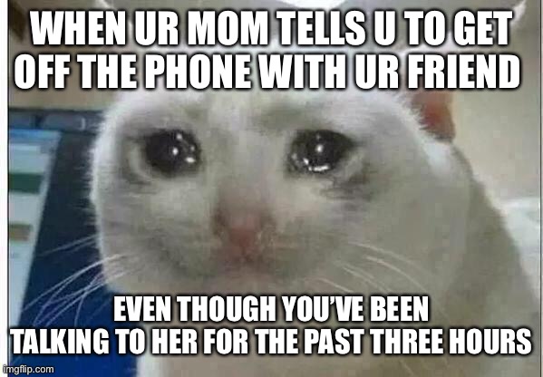 crying cat | WHEN UR MOM TELLS U TO GET OFF THE PHONE WITH UR FRIEND; EVEN THOUGH YOU’VE BEEN TALKING TO HER FOR THE PAST THREE HOURS | image tagged in crying cat | made w/ Imgflip meme maker