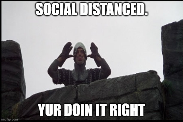 French Taunter | SOCIAL DISTANCED. YUR DOIN IT RIGHT | image tagged in french taunter | made w/ Imgflip meme maker