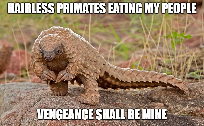 ummm pangolin | HAIRLESS PRIMATES EATING MY PEOPLE; VENGEANCE SHALL BE MINE | image tagged in ummm pangolin | made w/ Imgflip meme maker