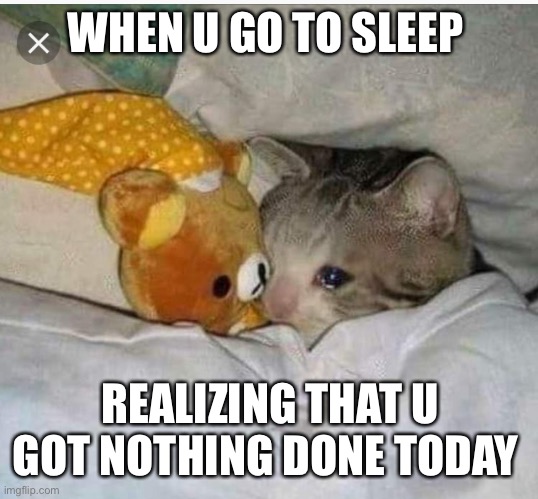 Sad cat | WHEN U GO TO SLEEP; REALIZING THAT U GOT NOTHING DONE TODAY | image tagged in sad cat | made w/ Imgflip meme maker