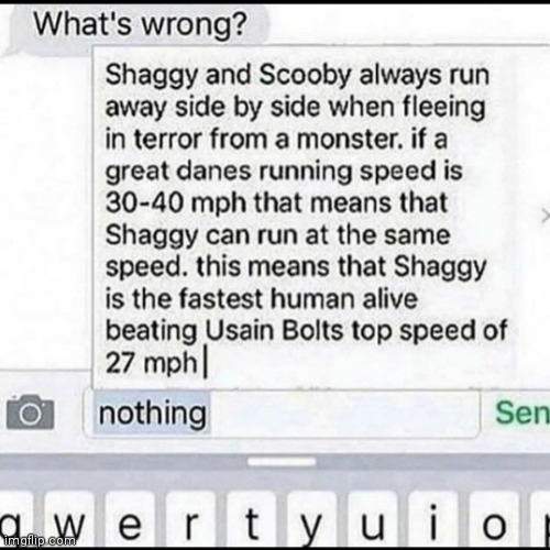 Go Shaggy Go! Will also be in Middle-School | image tagged in scooby doo | made w/ Imgflip meme maker