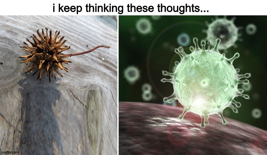 OMG why do I keep thinking these? they look the same | i keep thinking these thoughts... | image tagged in coronavirus,dank memes,fun | made w/ Imgflip meme maker