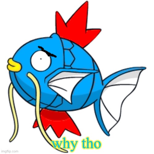 why tho | image tagged in aoi the magikarpleft | made w/ Imgflip meme maker