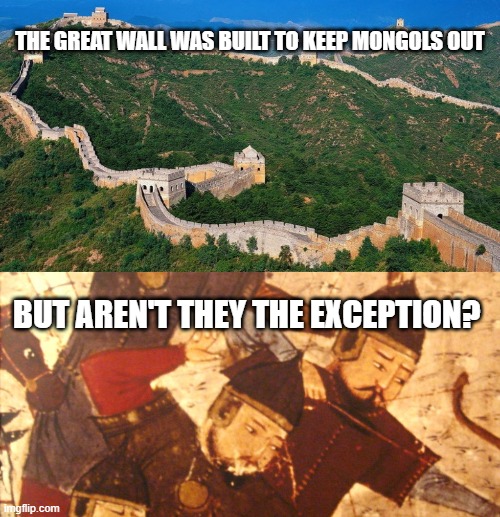 #John Green Humor | THE GREAT WALL WAS BUILT TO KEEP MONGOLS OUT; BUT AREN'T THEY THE EXCEPTION? | image tagged in stupid humor,dank meme | made w/ Imgflip meme maker
