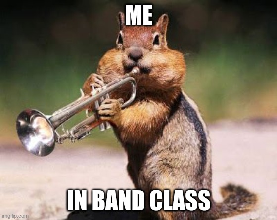 funny chipmunk | ME; IN BAND CLASS | image tagged in funny,chipmunk,trumpet | made w/ Imgflip meme maker