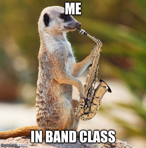funny meerkat |  ME; IN BAND CLASS | image tagged in meerkat,saxophone | made w/ Imgflip meme maker