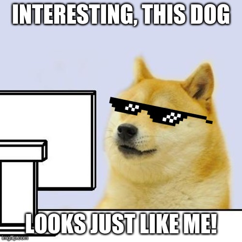 Hacker Doge | INTERESTING, THIS DOG; LOOKS JUST LIKE ME! | image tagged in hacker doge | made w/ Imgflip meme maker