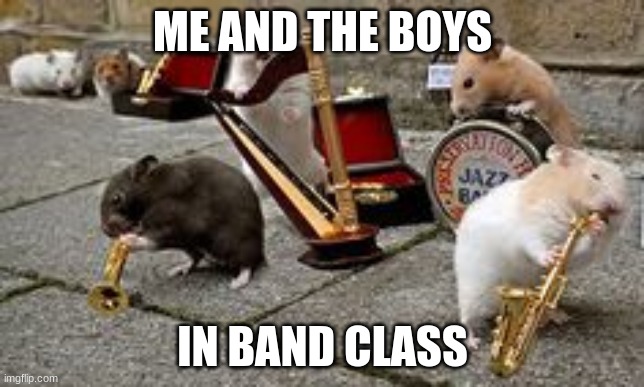 funny hamsters and rats | ME AND THE BOYS; IN BAND CLASS | image tagged in hamster,rats,saxophone,trumpet,drums | made w/ Imgflip meme maker