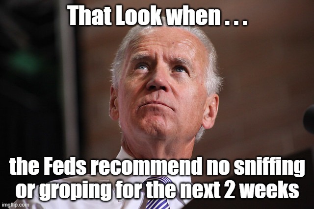 Sniffer Joe | That Look when . . . the Feds recommend no sniffing or groping for the next 2 weeks | image tagged in joe biden | made w/ Imgflip meme maker