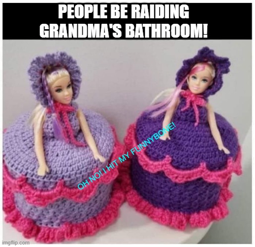PEOPLE BE RAIDING GRANDMA'S BATHROOM! OH NO! I HIT MY FUNNYBONE! | image tagged in toilet paper | made w/ Imgflip meme maker