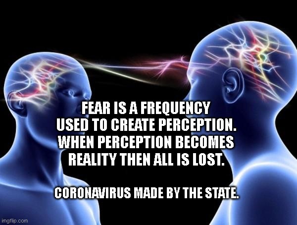 Connected Minds | FEAR IS A FREQUENCY USED TO CREATE PERCEPTION. WHEN PERCEPTION BECOMES REALITY THEN ALL IS LOST. CORONAVIRUS MADE BY THE STATE. | image tagged in connected minds | made w/ Imgflip meme maker