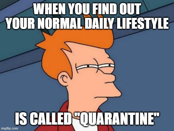 Futurama Fry Meme | WHEN YOU FIND OUT YOUR NORMAL DAILY LIFESTYLE; IS CALLED "QUARANTINE" | image tagged in memes,futurama fry,covid-19,quarantine,coronavirus | made w/ Imgflip meme maker