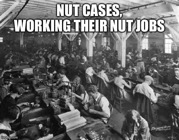 factory workers | NUT CASES, WORKING THEIR NUT JOBS | image tagged in factory workers | made w/ Imgflip meme maker