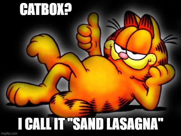 garfield thumbs up | CATBOX? I CALL IT "SAND LASAGNA" | image tagged in garfield thumbs up | made w/ Imgflip meme maker