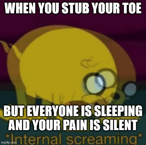 Jake The Dog Internal Screaming | WHEN YOU STUB YOUR TOE; BUT EVERYONE IS SLEEPING AND YOUR PAIN IS SILENT | image tagged in jake the dog internal screaming | made w/ Imgflip meme maker