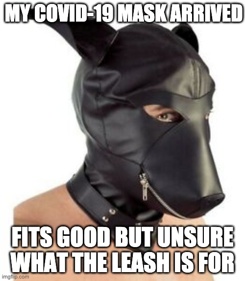 MY COVID-19 MASK ARRIVED; FITS GOOD BUT UNSURE WHAT THE LEASH IS FOR | image tagged in bdsm,puppy,coronavirus,mask | made w/ Imgflip meme maker