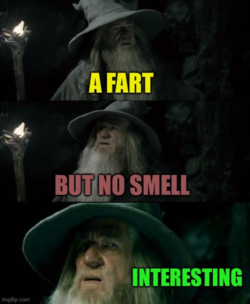 Confused Gandalf Meme | A FART BUT NO SMELL INTERESTING | image tagged in memes,confused gandalf | made w/ Imgflip meme maker