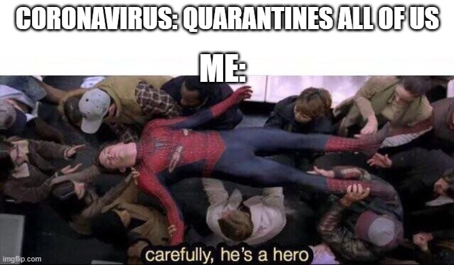 Carefully he's a hero | CORONAVIRUS: QUARANTINES ALL OF US; ME: | image tagged in carefully he's a hero | made w/ Imgflip meme maker