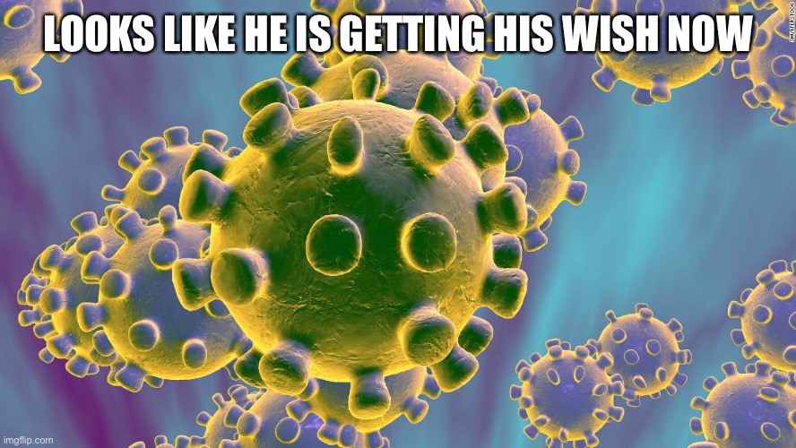 Coronavirus | LOOKS LIKE HE IS GETTING HIS WISH NOW | image tagged in coronavirus | made w/ Imgflip meme maker
