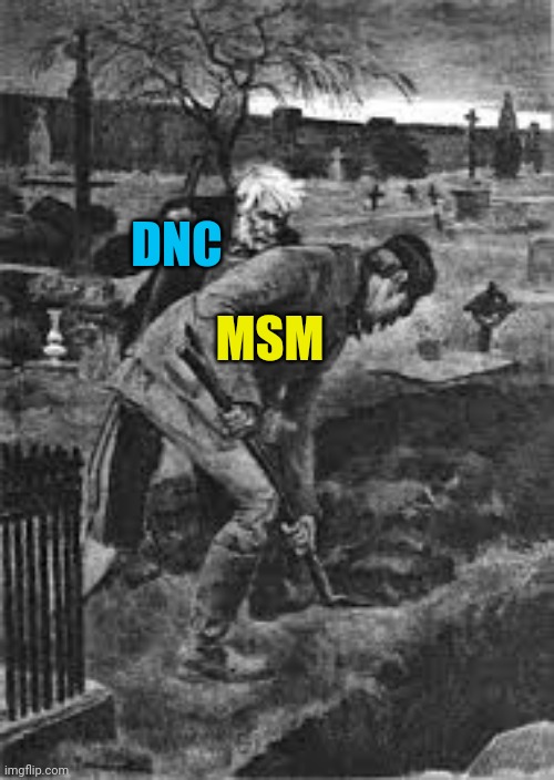 DNC MSM | made w/ Imgflip meme maker