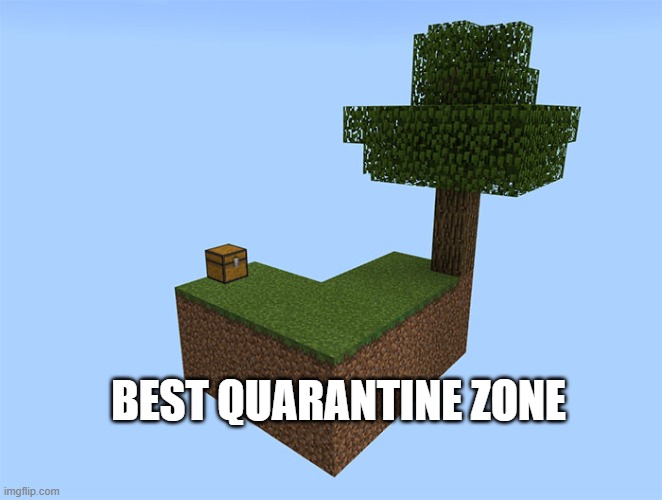 BEST QUARANTINE ZONE | image tagged in coronavirus,minecraft | made w/ Imgflip meme maker