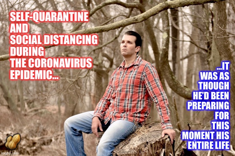 Gen X has got this | 🥜 | image tagged in donald trump jr,memes,donald trump,coronavirus,quarantine | made w/ Imgflip meme maker