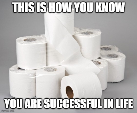 toilet paper | THIS IS HOW YOU KNOW; YOU ARE SUCCESSFUL IN LIFE | image tagged in toilet paper | made w/ Imgflip meme maker