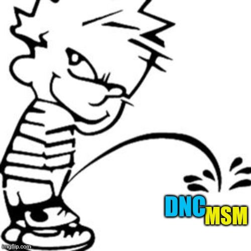 piss on you | MSM DNC | image tagged in piss on you | made w/ Imgflip meme maker