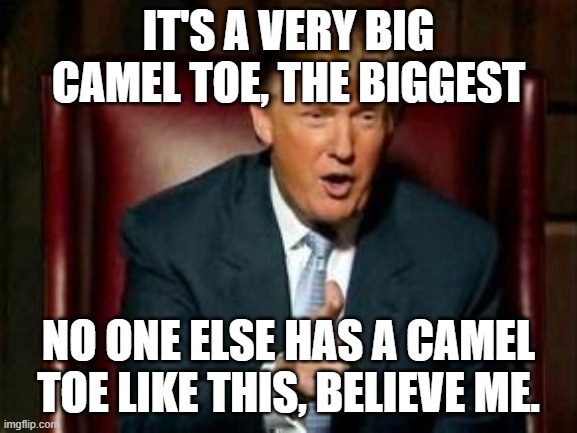 Donald Trump | IT'S A VERY BIG CAMEL TOE, THE BIGGEST NO ONE ELSE HAS A CAMEL TOE LIKE THIS, BELIEVE ME. | image tagged in donald trump | made w/ Imgflip meme maker