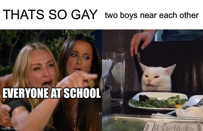 Woman Yelling At Cat Meme | THATS SO GAY two boys near each other EVERYONE AT SCHOOL | image tagged in memes,woman yelling at cat | made w/ Imgflip meme maker