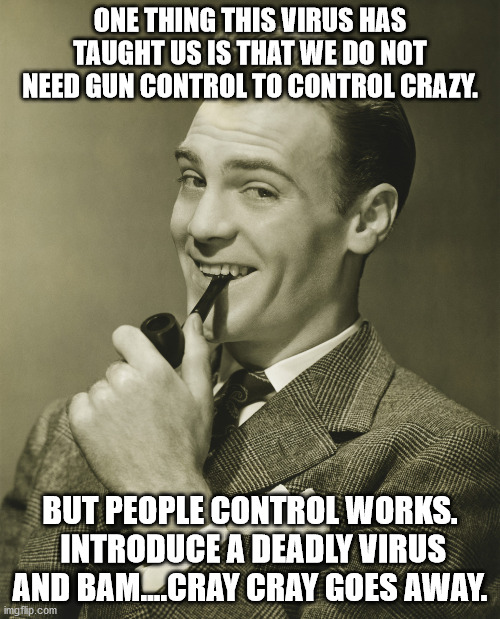 Smug |  ONE THING THIS VIRUS HAS TAUGHT US IS THAT WE DO NOT NEED GUN CONTROL TO CONTROL CRAZY. BUT PEOPLE CONTROL WORKS.  INTRODUCE A DEADLY VIRUS AND BAM....CRAY CRAY GOES AWAY. | image tagged in smug | made w/ Imgflip meme maker