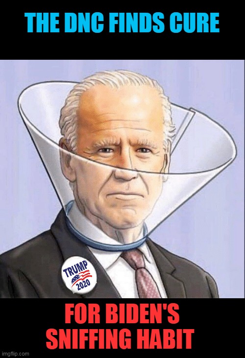 sniff test | THE DNC FINDS CURE; FOR BIDEN'S SNIFFING HABIT | image tagged in dog,lampshade,creepy joe biden | made w/ Imgflip meme maker