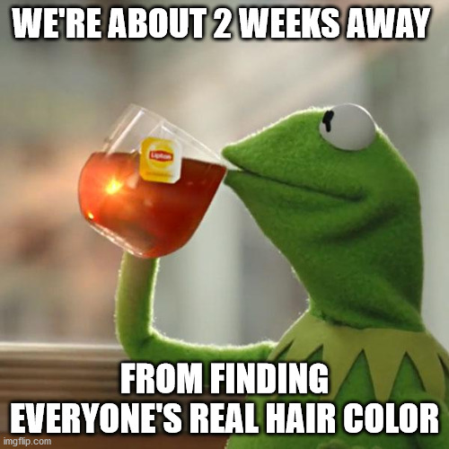 But That's None Of My Business Meme | WE'RE ABOUT 2 WEEKS AWAY; FROM FINDING EVERYONE'S REAL HAIR COLOR | image tagged in memes,but thats none of my business,kermit the frog | made w/ Imgflip meme maker