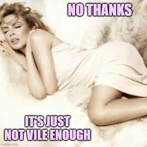 Kylie sleep | NO THANKS IT'S JUST NOT VILE ENOUGH | image tagged in kylie sleep | made w/ Imgflip meme maker