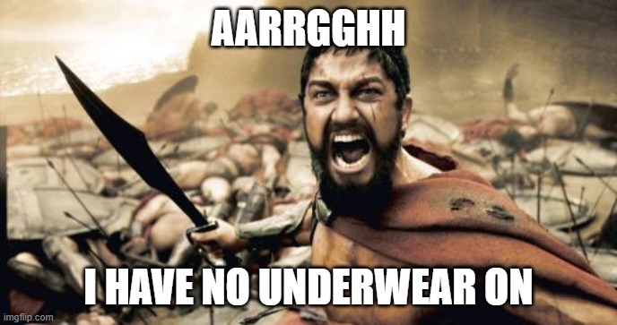 Sparta Leonidas | AARRGGHH; I HAVE NO UNDERWEAR ON | image tagged in memes,sparta leonidas | made w/ Imgflip meme maker