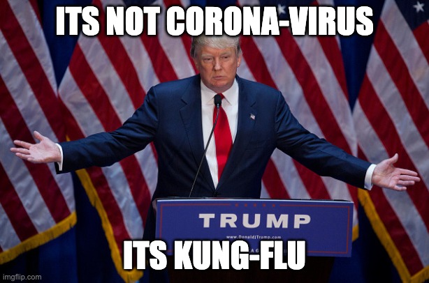 Donald Trump | ITS NOT CORONA-VIRUS; ITS KUNG-FLU | image tagged in donald trump | made w/ Imgflip meme maker