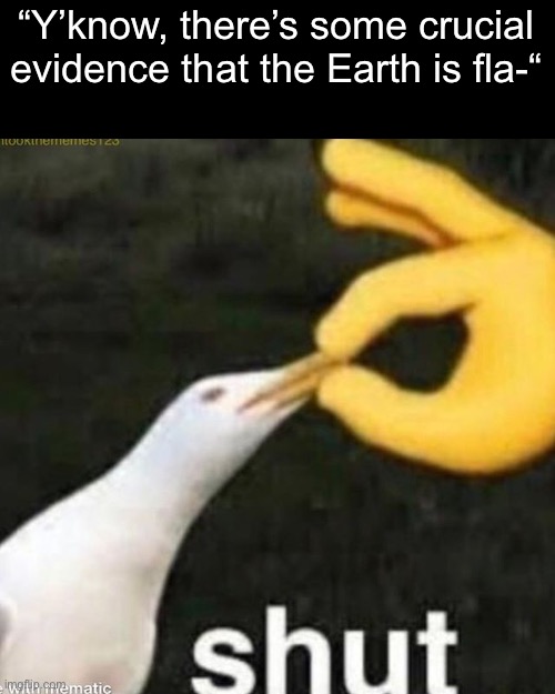 Shut Gull | “Y’know, there’s some crucial evidence that the Earth is fla-“ | image tagged in shut gull | made w/ Imgflip meme maker