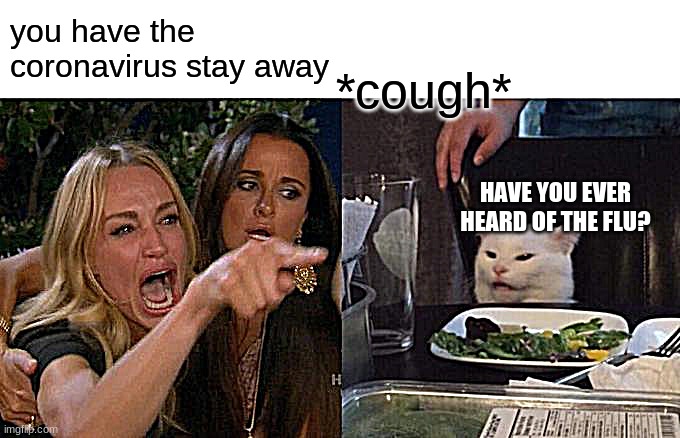 Woman Yelling At Cat Meme | you have the coronavirus stay away; *cough*; HAVE YOU EVER HEARD OF THE FLU? | image tagged in memes,woman yelling at cat | made w/ Imgflip meme maker