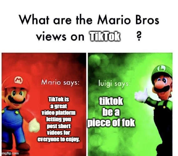 What are Mario and Luigi's opinion on TikTok? | TikTok; tiktok be a piece of fok; TikTok is a great video platform letting you post short videos for everyone to enjoy. | image tagged in what are the mario bros views on,tiktok | made w/ Imgflip meme maker