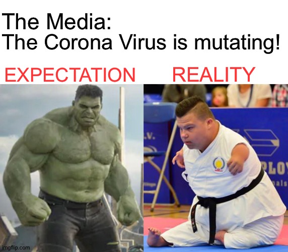 The Media:; The Corona Virus is mutating! EXPECTATION; REALITY | image tagged in expectations vs reality | made w/ Imgflip meme maker