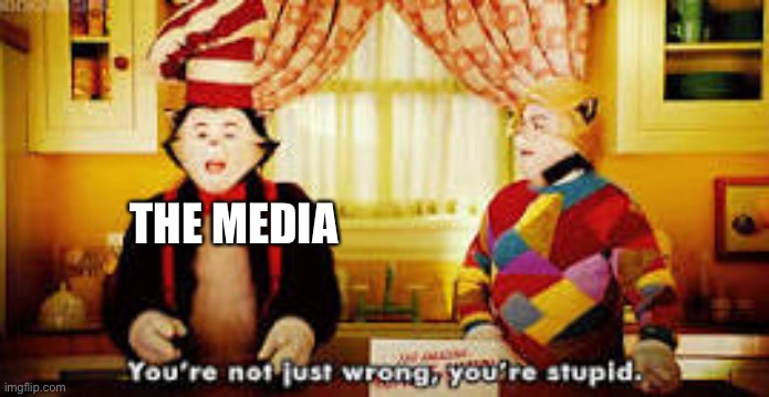 Your not just wrong your stupid | THE MEDIA | image tagged in your not just wrong your stupid | made w/ Imgflip meme maker