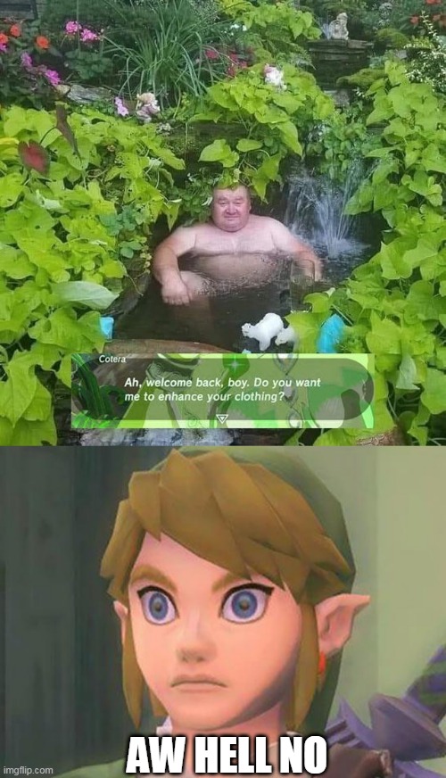 FORGET IT |  AW HELL NO | image tagged in zelda,memes,the legend of zelda breath of the wild,legend of zelda,wtf | made w/ Imgflip meme maker