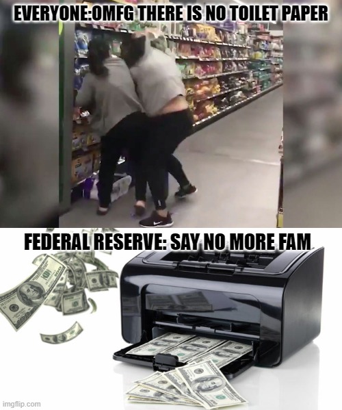 Printing Toilet Paper | EVERYONE:OMFG THERE IS NO TOILET PAPER; FEDERAL RESERVE: SAY NO MORE FAM | image tagged in no more toilet paper,toilet paper,federal reserve,inflation,coronavirus | made w/ Imgflip meme maker