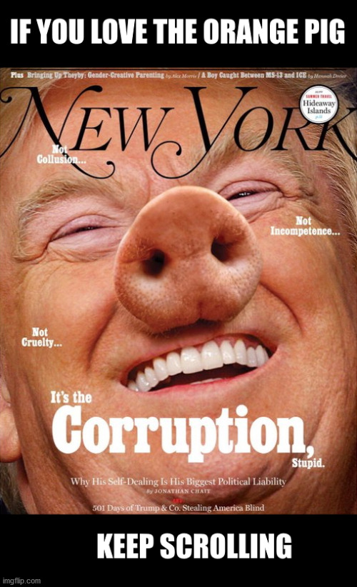 Orange Pig | image tagged in orange pig,trump,trumptards,politics | made w/ Imgflip meme maker