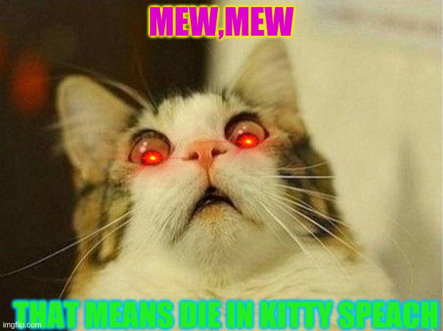 Scared Cat Meme | MEW,MEW; THAT MEANS DIE IN KITTY SPEACH | image tagged in memes,scared cat | made w/ Imgflip meme maker