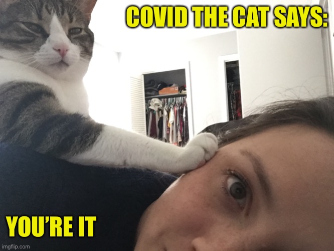 Avoid Corona As Long As Possible | COVID THE CAT SAYS:; YOU’RE IT | image tagged in covid-19,corona virus,cat | made w/ Imgflip meme maker