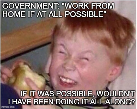 coronavirus | GOVERNMENT: "WORK FROM HOME IF AT ALL POSSIBLE"; IF IT WAS POSSIBLE, WOULDN'T I HAVE BEEN DOING IT ALL ALONG? | image tagged in coronavirus | made w/ Imgflip meme maker