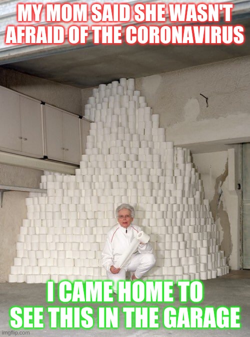 mountain of toilet paper | MY MOM SAID SHE WASN'T AFRAID OF THE CORONAVIRUS; I CAME HOME TO SEE THIS IN THE GARAGE | image tagged in mountain of toilet paper | made w/ Imgflip meme maker