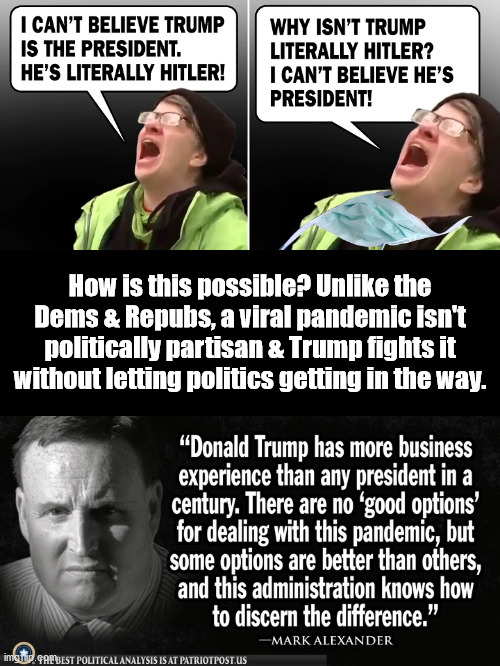 Politics Are Never Practical | How is this possible? Unlike the Dems & Repubs, a viral pandemic isn't politically partisan & Trump fights it without letting politics getting in the way. | image tagged in coronavirus,politicians suck | made w/ Imgflip meme maker