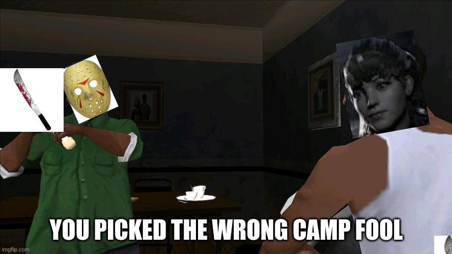 You picked the wrong house fool | YOU PICKED THE WRONG CAMP FOOL | image tagged in you picked the wrong house fool | made w/ Imgflip meme maker